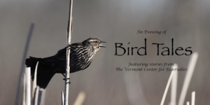 An Evening of Bird Tales @ Online / Zoom presentation
